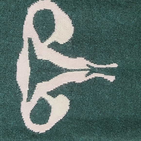 Rachel Antonoff RANDY'S REPRODUCTIVE SYSTEM SWEATER EMERALD Size Medium - Picture 6 of 9